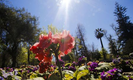 Cuándo empieza la primavera y a qué hora. Cuándo empieza la primavera y a qué hora.