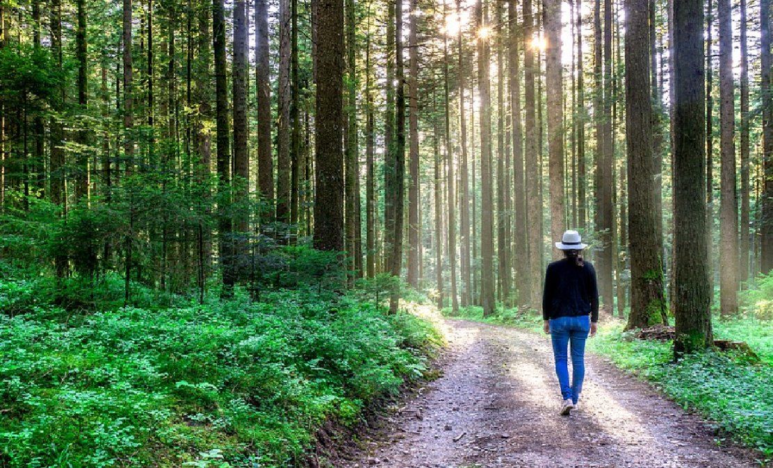 Por qué estar en contacto con la naturaleza hace bien