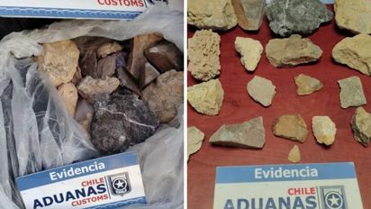 Quiso entrar con 18 fósiles sin papeles a Chile y lo descubrieron: quedó a disposición de la Justicia