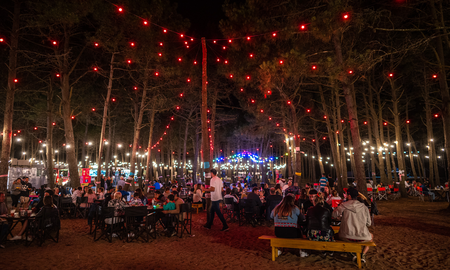 Pinamar: food trucks nocturnos en el bosque, una propuesta diferente Pinamar: food trucks nocturnos en el bosque, una propuesta diferente