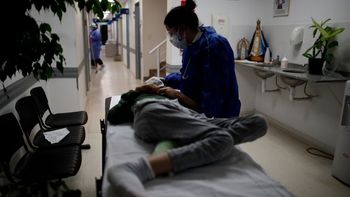 El proyecto establece el procedimiento, los controles y las garantías necesarias para la aplicación de la eutanasia. 