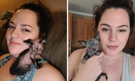 Video viral: creía que su gata estaba enferma pero en verdad se trataba de una mutación genética. Video viral: creía que su gata estaba enferma pero en verdad se trataba de una mutación genética.