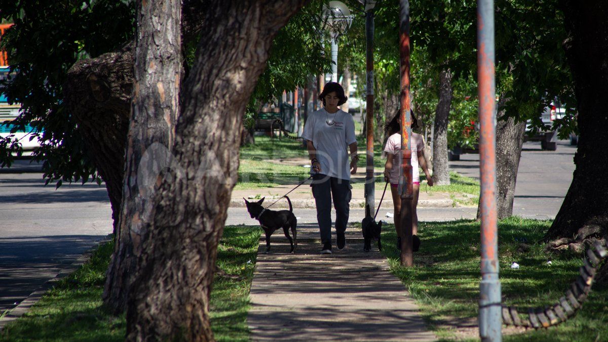 Quienes tengan más de 80 años la recuerdan como la “30 sin nombre”