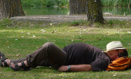La reivindicación de la siesta: la ciencia afirma que es una necesidad biológica La reivindicación de la siesta: la ciencia afirma que es una necesidad biológica