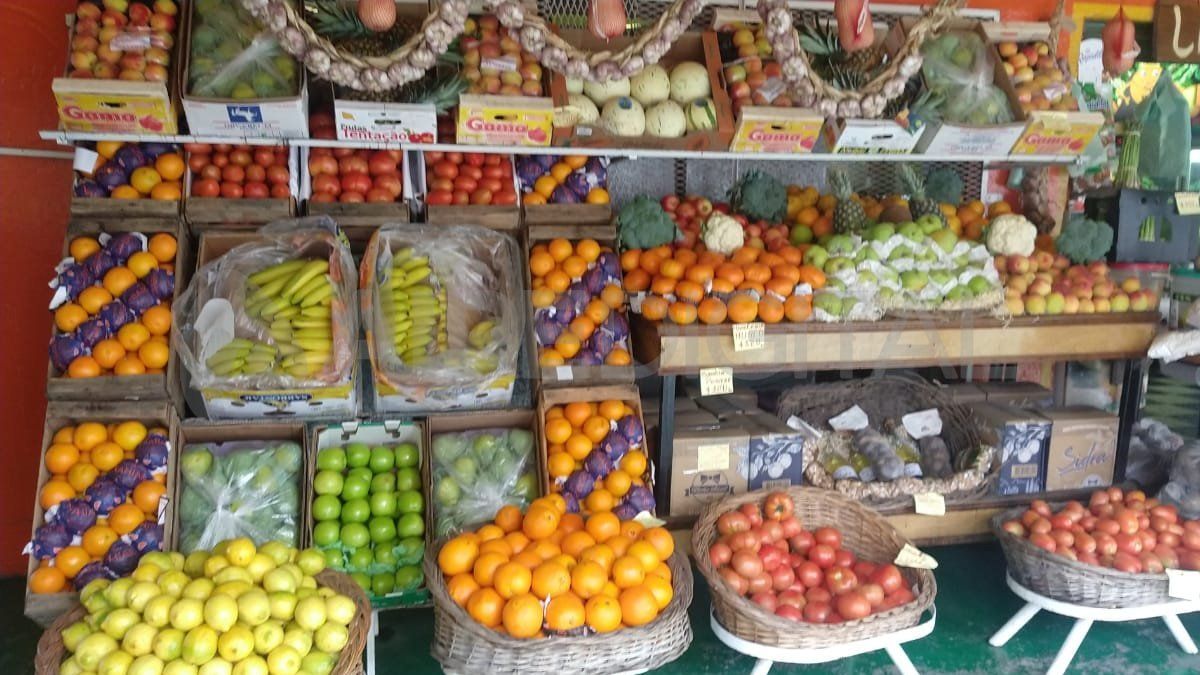 Afirman que tomate y el pimiento subieron a un precio exagerado por un problema de estación, pero ahora comienza una producción nueva de La Plata que los va a acomodar.