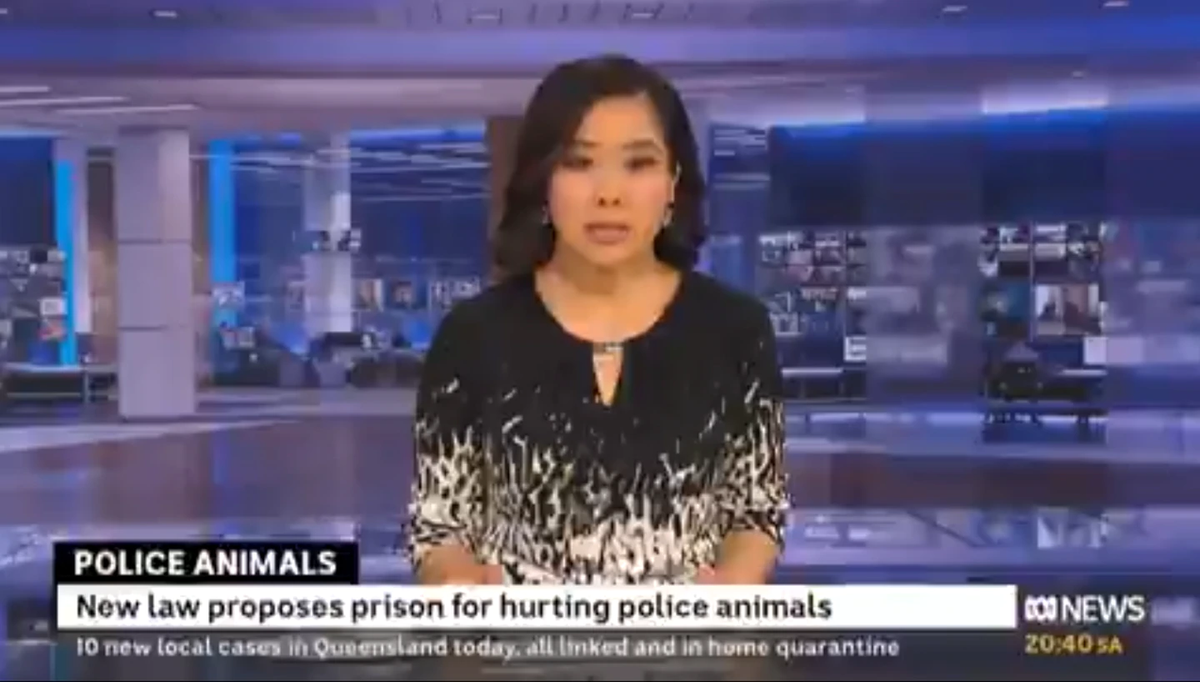 Todo se origin&oacute; durante la emisi&oacute;n en vivo del noticiero del canal ABC de Australia.