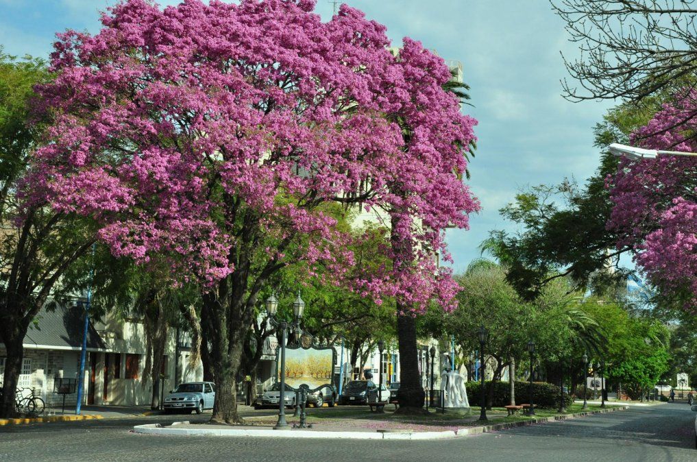 multimedia.grande.aa2fcfdbd787689b.52414641454c41206369756461645f6772616e64652e6a7067.jpg