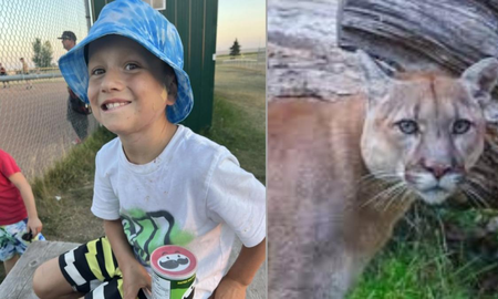 Tiene ocho años, se fue de campamento con amigos y un puma le mordió la cabeza Tiene ocho años, se fue de campamento con amigos y un puma le mordió la cabeza