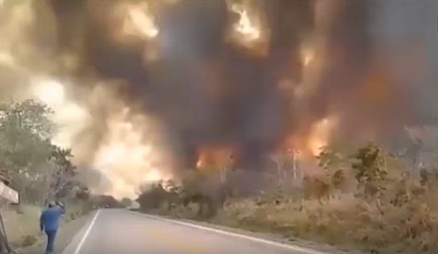 Las llamas devoran cientos de miles de hectáreas en Bolivia y hay dos mil familias afectadas