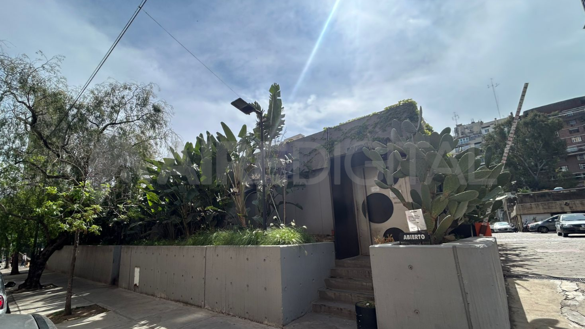 Invernadero Bar: un oasis natural escondido en Buenos Aires, con gin tonic artesanal y exquisitos platos