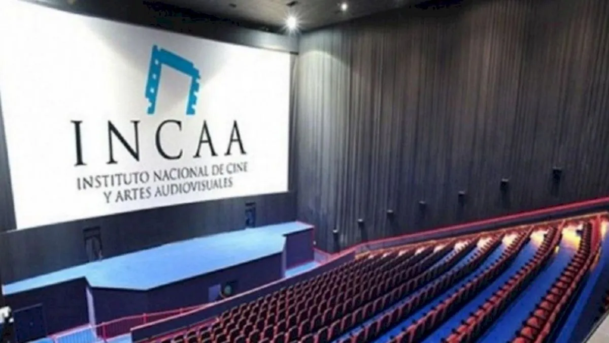 El gobierno de Javier Milei recortó significativamente el presupuesto del INCAA. El gobierno de Javier Milei recortó significativamente el presupuesto del INCAA.
