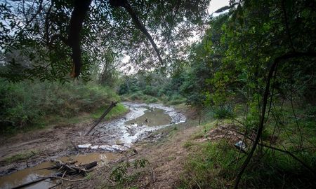 La zona del río Tragadero rastrillada en búsqueda de restos del cuerpo de Cecilia. La zona del río Tragadero rastrillada en búsqueda de restos del cuerpo de Cecilia.