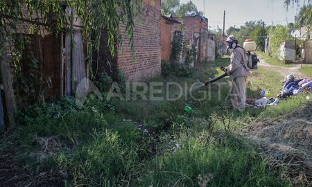 Las autoridades insisten en mantener las medidas de prevención contra el dengue, pues una explosión de esta enfermedad agravaría las consecuencias de la pandemia de coronavirus. Las autoridades insisten en mantener las medidas de prevención contra el dengue, pues una explosión de esta enfermedad agravaría las consecuencias de la pandemia de coronavirus.