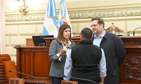 Clara García supervisó las tareas de adecuación realizadas en la Cámara baja para albergar a la Convención Constituyente. Clara García supervisó las tareas de adecuación realizadas en la Cámara baja para albergar a la Convención Constituyente.