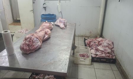 La Municipalidad de Santa Fe, junto con la Assal (Agencia provincial de Seguridad Alimentaria) clausuró un local comercial ubicado en Vieytes al 3900. La Municipalidad de Santa Fe, junto con la Assal (Agencia provincial de Seguridad Alimentaria) clausuró un local comercial ubicado en Vieytes al 3900.
