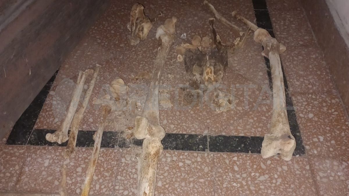 Huesos humanos fueron encontrados a una cuadra de la Municipalidad de Santa Fe