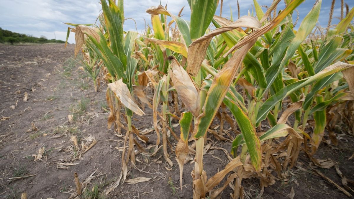 La fabricación de maquinaria de uso general muestra en marzo una disminución interanual de 21,8%. La fabricación de maquinaria de uso general muestra en marzo una disminución interanual de 21,8%.