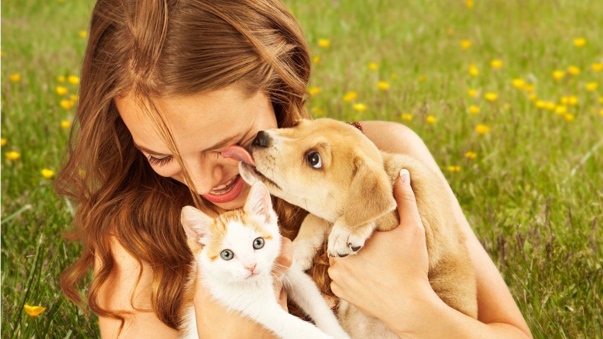 Perder a una mascota puede ser incluso más difícil de superar