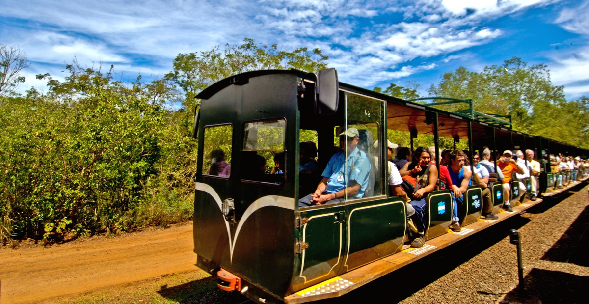 Tren Ecol&oacute;gico de la Selva