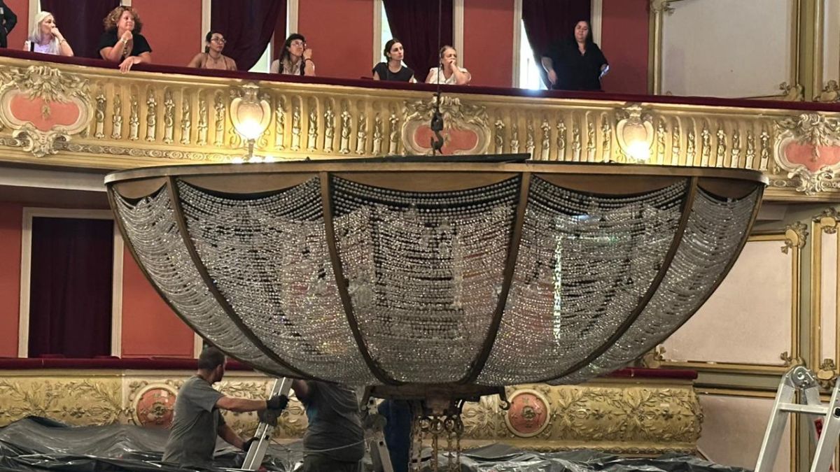 La ara&ntilde;a es un patrimonio hist&oacute;rico del Teatro Municipal.