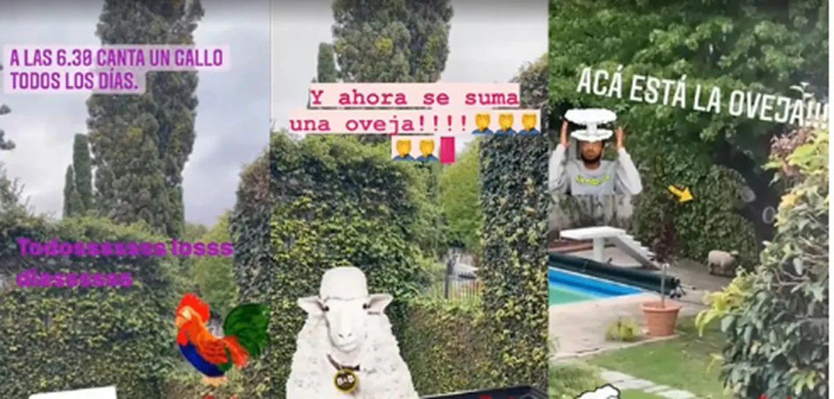 El conflicto de Jorge Rial con un vecino de Belgrano.