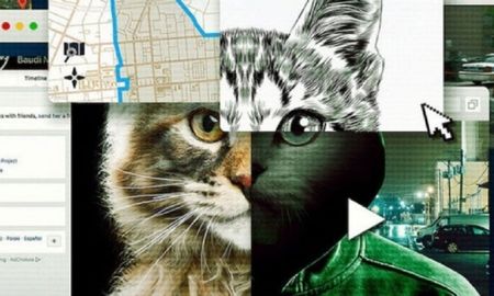 dont f*** with cats: el cruel asesino de gatos al que netflix hizo famoso dont f*** with cats: el cruel asesino de gatos al que netflix hizo famoso