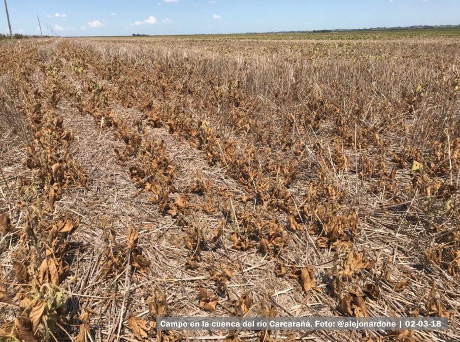 “Vamos a seguir monitoreando unos días más”