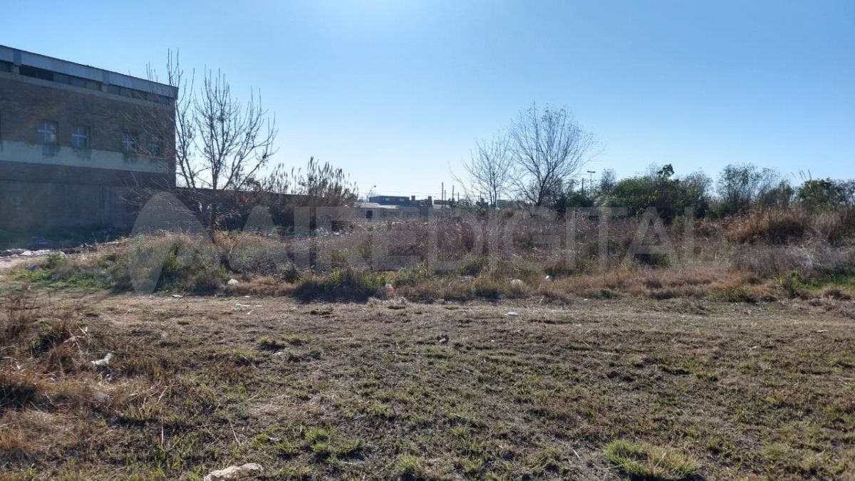 Ambos centros educativos son linderos al descampado, por lo que los vecinos piden el desmalezamiento.
