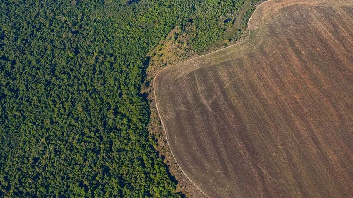 Vista aérea de la deforestación en la Amazonía provocada por la expansión de las áreas agrícolas. Vista aérea de la deforestación en la Amazonía provocada por la expansión de las áreas agrícolas.