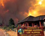el fuego en el parque nacional los alerces ya consumio casi 600 hectareas