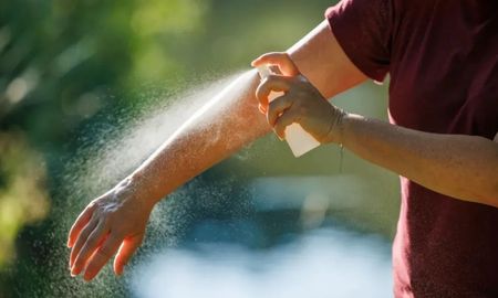 Si el destino elegido registra casos de dengue, zika o chikungunya, se recomienda utilizar repelente. Si el destino elegido registra casos de dengue, zika o chikungunya, se recomienda utilizar repelente.
