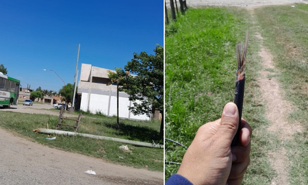 Monte Vera: un trabajo de poda rompió la fibra y dejó sin internet a mil usuarios de Gigared. Monte Vera: un trabajo de poda rompió la fibra y dejó sin internet a mil usuarios de Gigared.