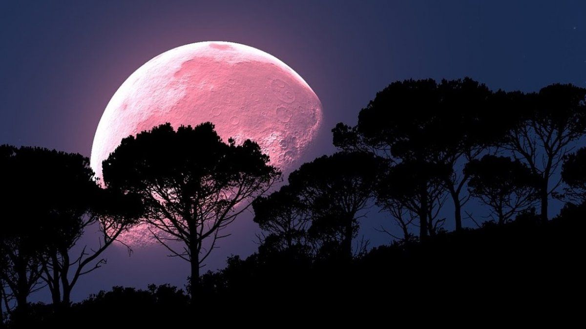 Horóscopo: cómo afectará la super luna rosa a cada uno de los signos del zodiaco