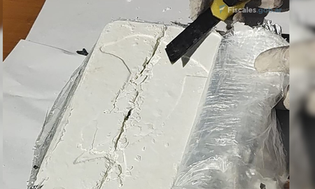 Los panes de cocaína secuestrados presentaban la marca del delfín Los panes de cocaína secuestrados presentaban la marca del delfín