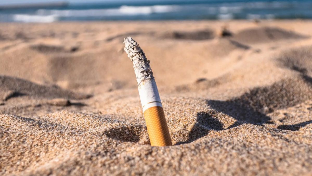 Mar del Plata busca reducir la contaminación por colillas con un esquema de multas que arranca en diciembre.
