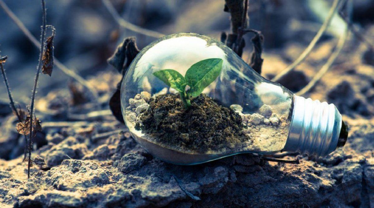 El significado de greenwashing es ‘‘lavado verde’’ y tiene que ver con una especie de ‘‘lavada de cara’’ sustentable.