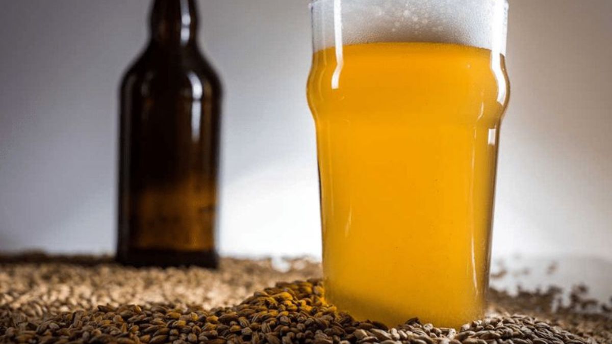 Lainvestigación demuestra que un residuo considerado un problema para laindustria puede transformarse en una oportunidad de innovación en Santa Fe y la región.