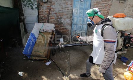 En la provincia de Santa Fe hay 13 veces más casos de dengue que de coronavirus. En la provincia de Santa Fe hay 13 veces más casos de dengue que de coronavirus.