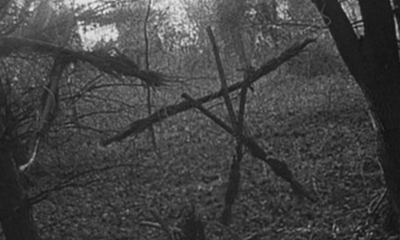Se les apareció una bruja en un bosque y filmaron el encuentro Se les apareció una bruja en un bosque y filmaron el encuentro