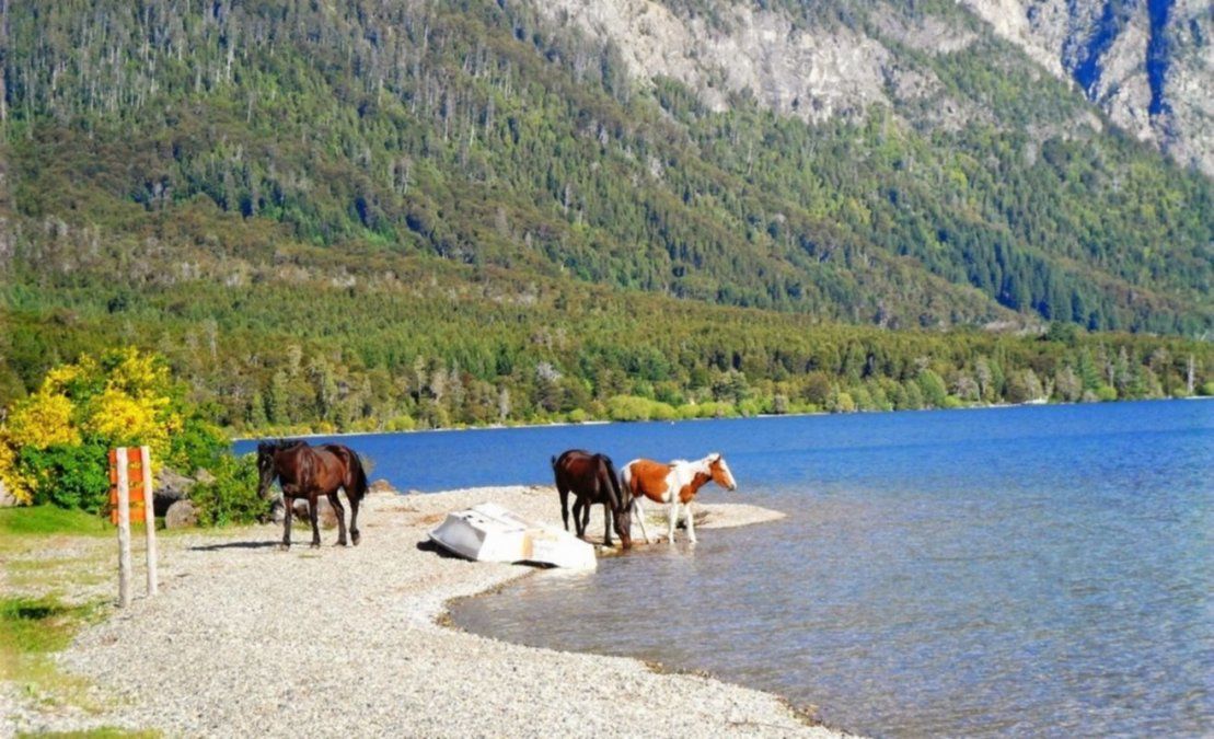 El Hoyo, la ciudad patagónica paradisíaca arrasada por el fuego