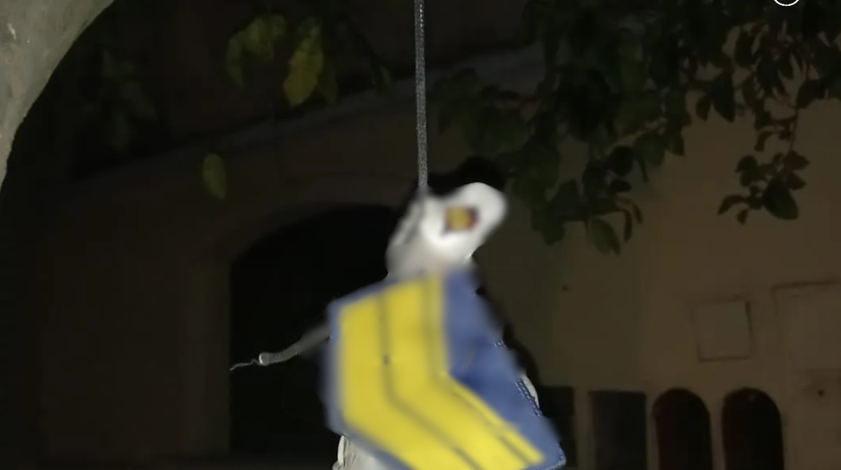 Córdoba: encontraron una paloma muerta con una insignia policial y una bala en el pico