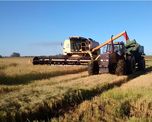 el arroz entrerriano, con todo en contra: proyectan la menor produccion del siglo el arroz entrerriano, con todo en contra: proyectan la menor produccion del siglo