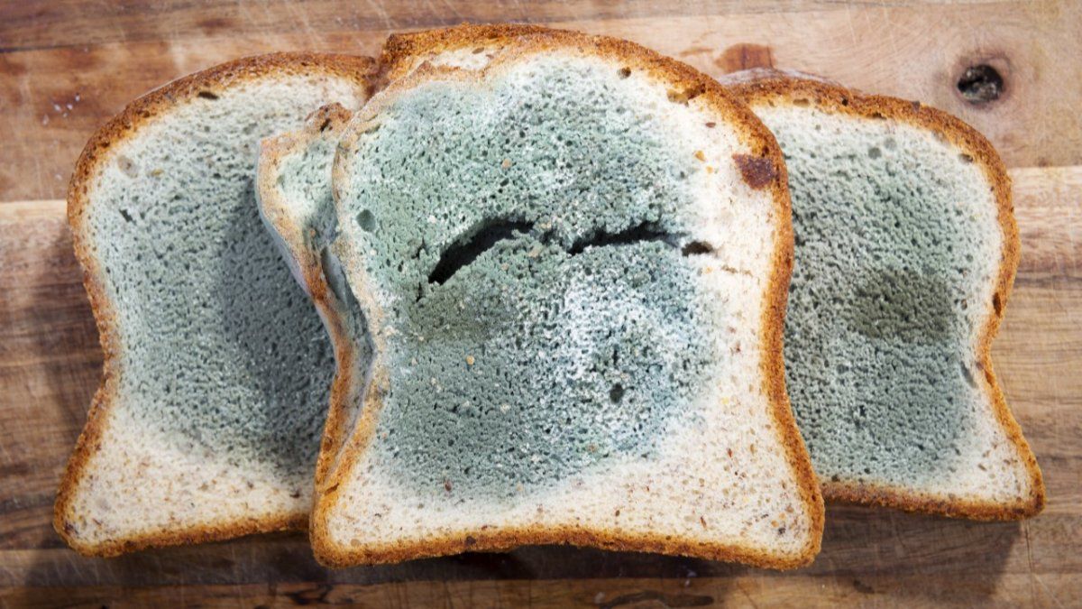 Los riesgos y consecuencias de oler alimentos con moho