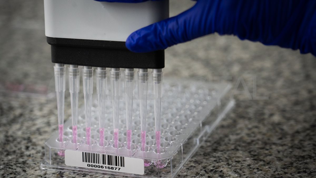 El test tiene un valor predictivo del 99% y fue otorgado gratuitamente por el Instituto Nacional de Cáncer a raíz de un acuerdo que la Agencia de control de Cáncer gestionó en el 2020 con la entidad, y que fue aprobado en el 2021.