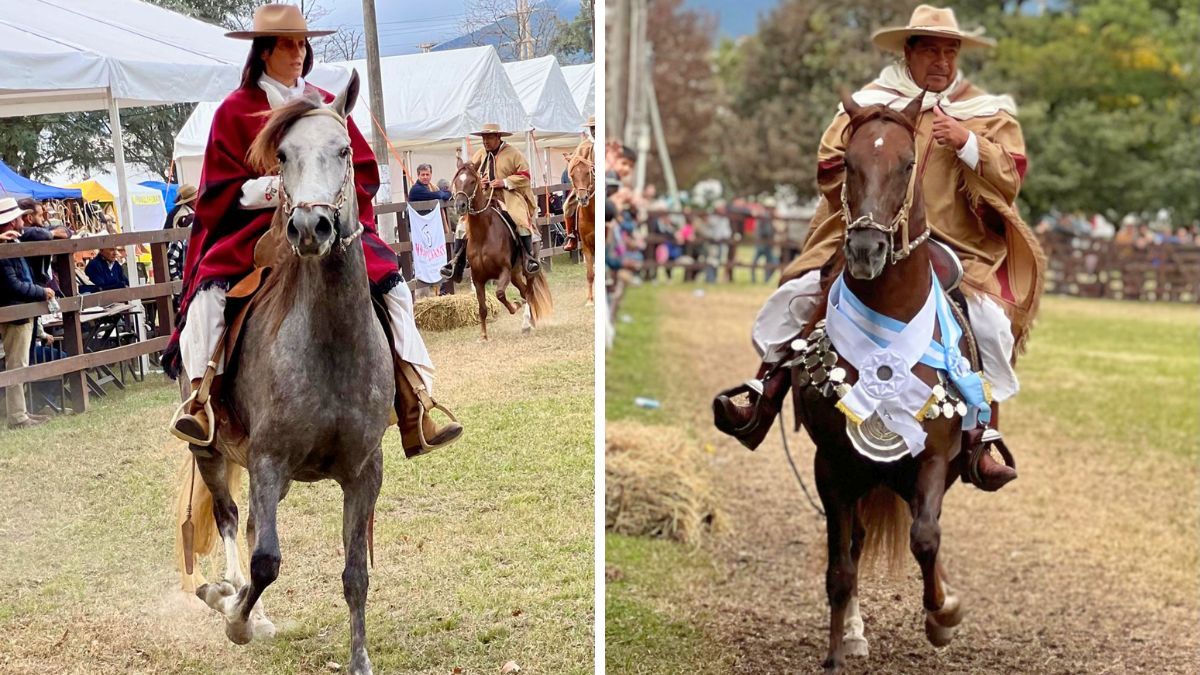 Célebre por su andar suave, su temperamento noble y su impresionante prestancia, la raza tiene en este evento su máxima vitrina en Argentina. Célebre por su andar suave, su temperamento noble y su impresionante prestancia, la raza tiene en este evento su máxima vitrina en Argentina.