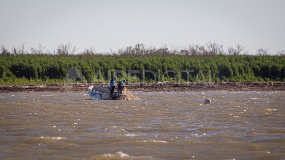 El gobierno de la provincia confirmó el levantamiento de la veda pesquera total en territorio santafesino