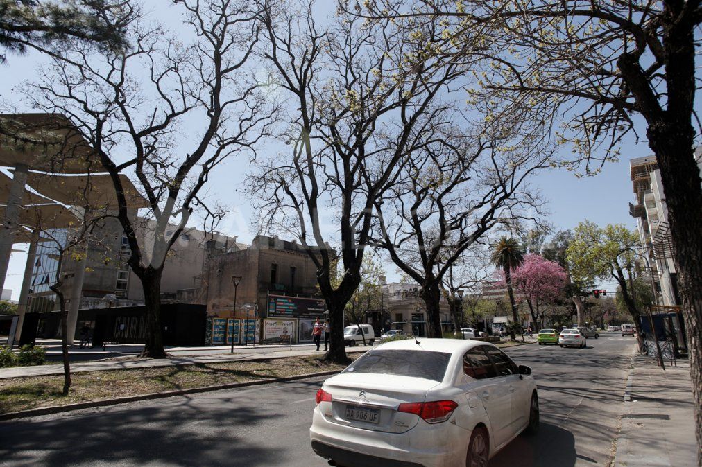 El Bulevar Gálvez de Santa Fe posee un paisaje urbano particular pero aún no es oficialmente Área de Protección del Paisaje Urbano.