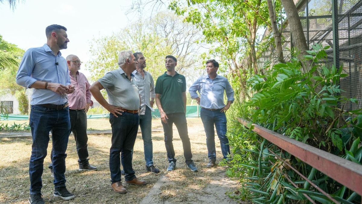 En lo que va de 2025