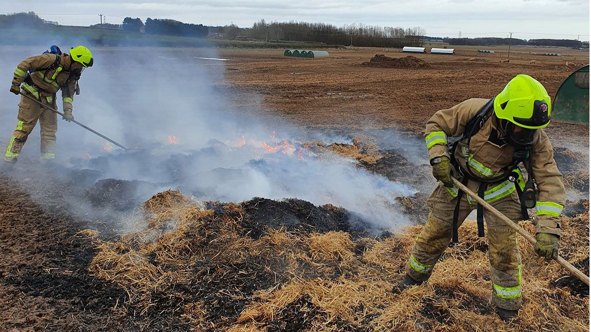 Fotos: un cerdo se comió un cronómetro y provocó un incendio