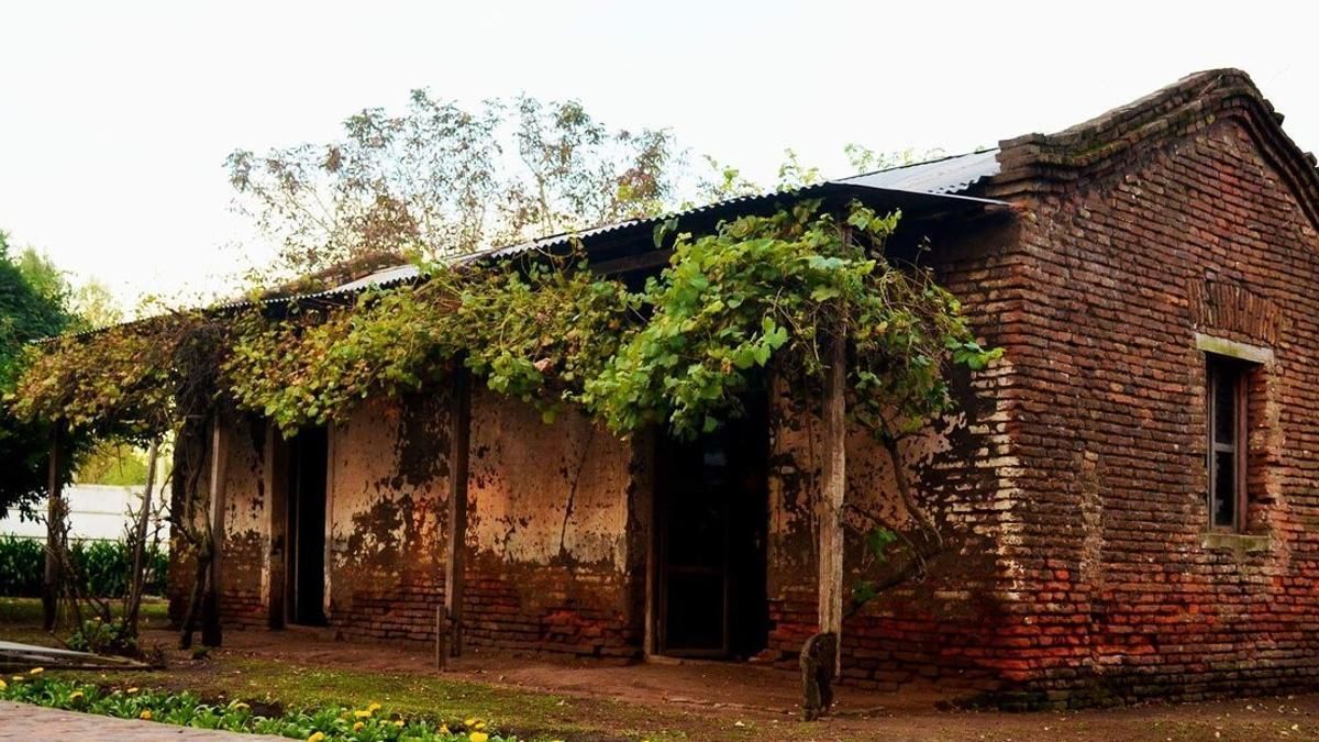Además de sus paisajes y su gastronomía, Roque Pérez se destaca por ser el lugar donde nació Juan Domingo Perón. Su casa natal se conserva y fue declarada Monumento Histórico Nacional. Además de sus paisajes y su gastronomía, Roque Pérez se destaca por ser el lugar donde nació Juan Domingo Perón. Su casa natal se conserva y fue declarada Monumento Histórico Nacional. 